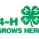 4-H Logo