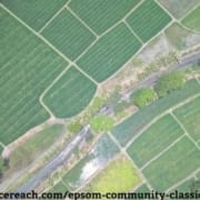Epsom Community Classic