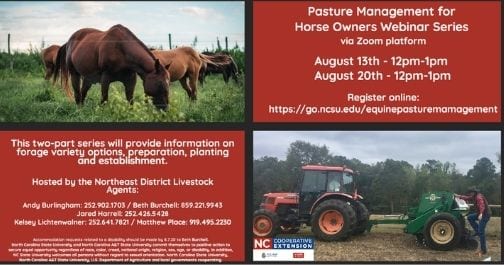 Horse Pasture Management
