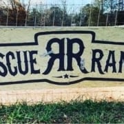 Rescue Ranch