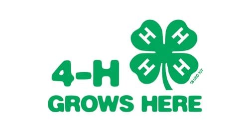 4-H Logo
