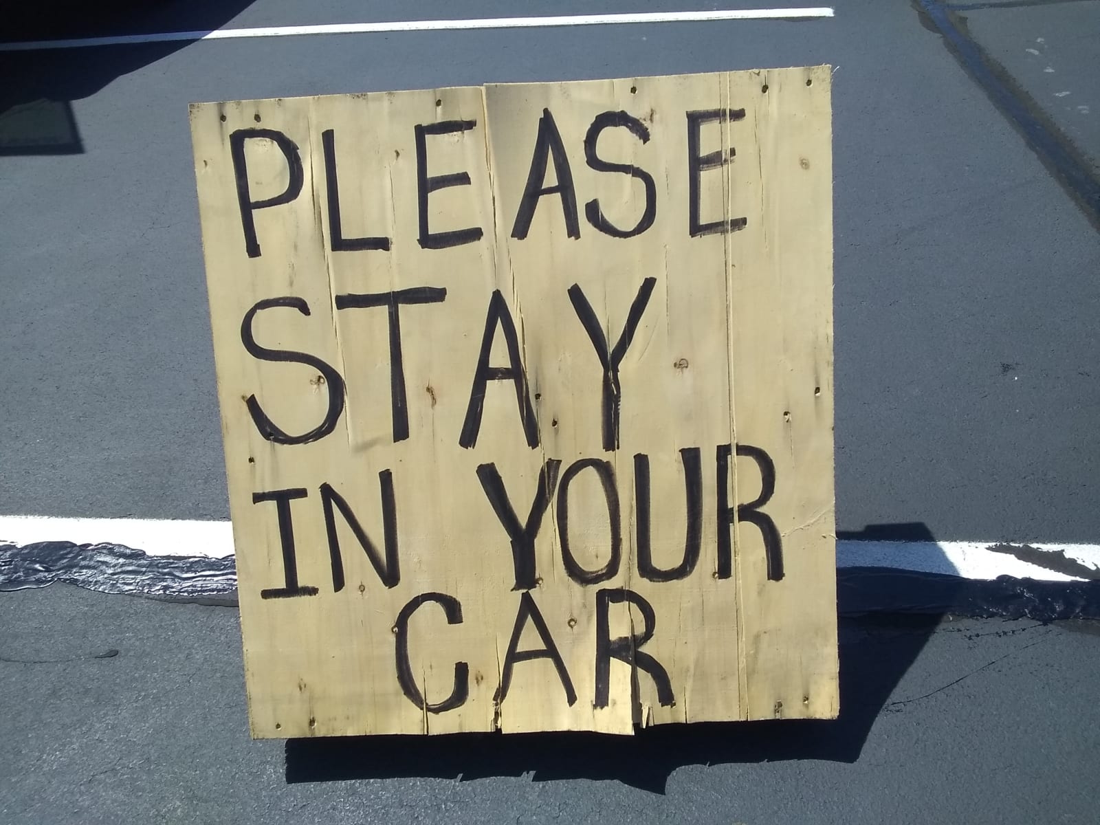 Stay in Your Car